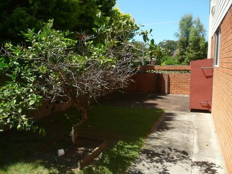 5 Vine Street, North Haven NSW 2443