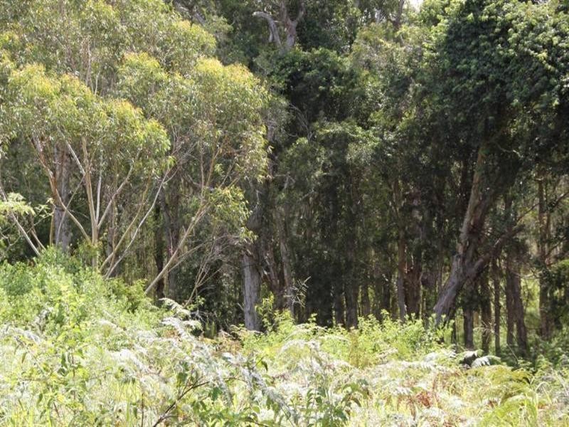 35 Scarborough Way, Dunbogan NSW 2443