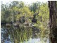 Lot 2 Longworth Road, Dunbogan NSW 2443