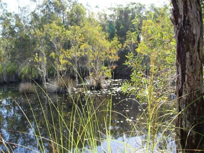 Lot 2 Longworth Road, Dunbogan NSW 2443