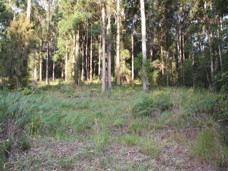 10 Ferntree Court, Laurieton NSW 2443