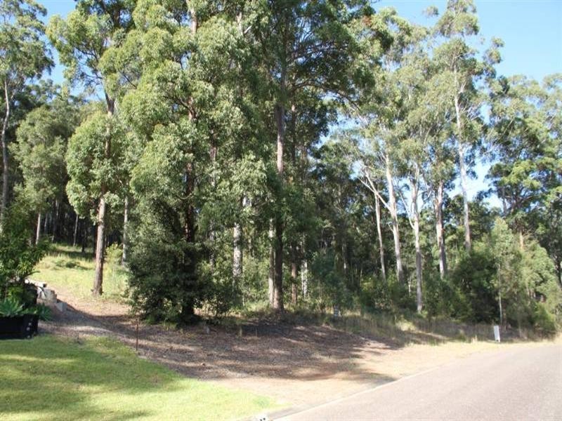 10 Ferntree Court, Laurieton NSW 2443