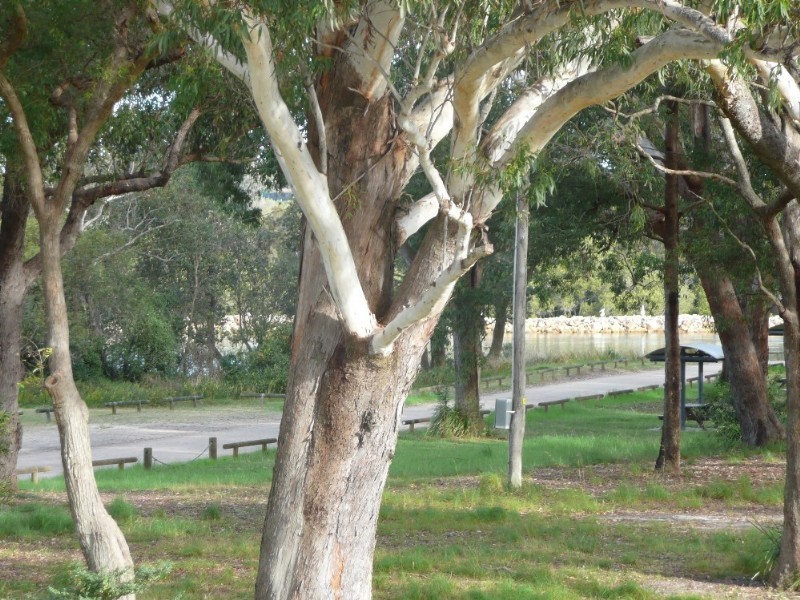 North Haven NSW 2443