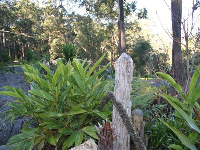 15 Ellendale Crescent, Kendall NSW 2439