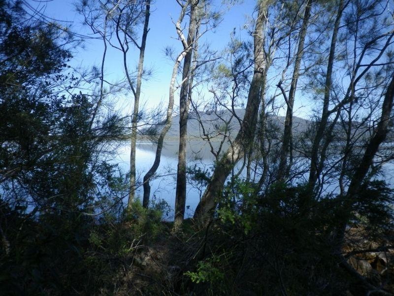 Lot 109 McGilvray Road, Bonny Hills NSW 2445