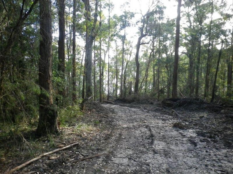 Lot 109 McGilvray Road, Bonny Hills NSW 2445