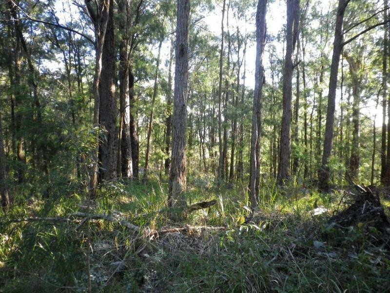 Lot 109 McGilvray Road, Bonny Hills NSW 2445