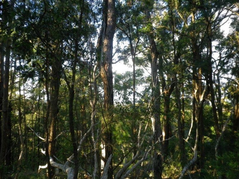 Lot 109 McGilvray Road, Bonny Hills NSW 2445