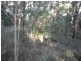 Lot 109 McGilvray Road, Bonny Hills NSW 2445