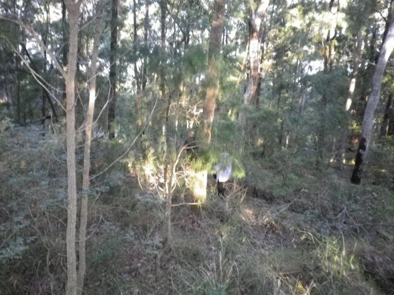 Lot 109 McGilvray Road, Bonny Hills NSW 2445