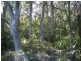 Lot 109 McGilvray Road, Bonny Hills NSW 2445