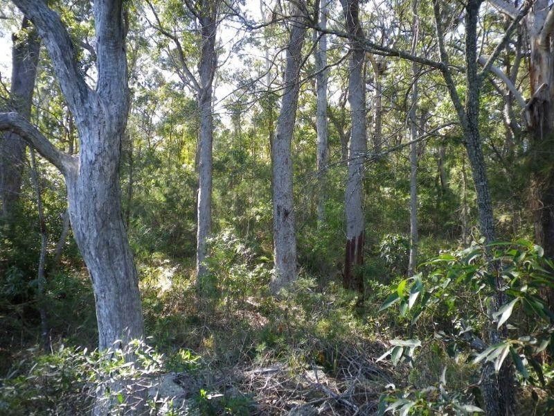 Lot 109 McGilvray Road, Bonny Hills NSW 2445