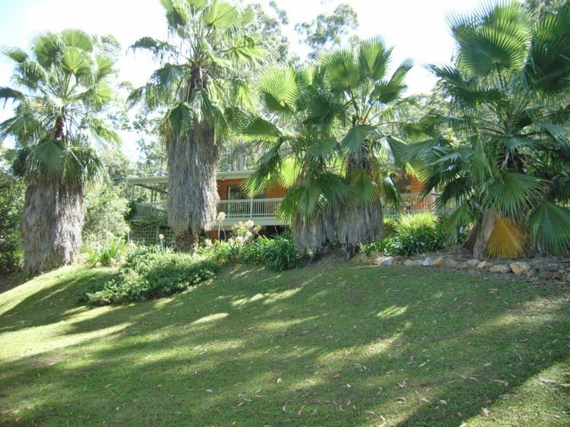 19 Ellendale Crescent, Kendall NSW 2439