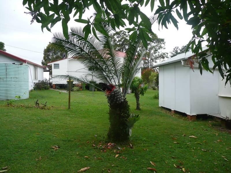 58 Jericho Road, Moorland NSW 2443