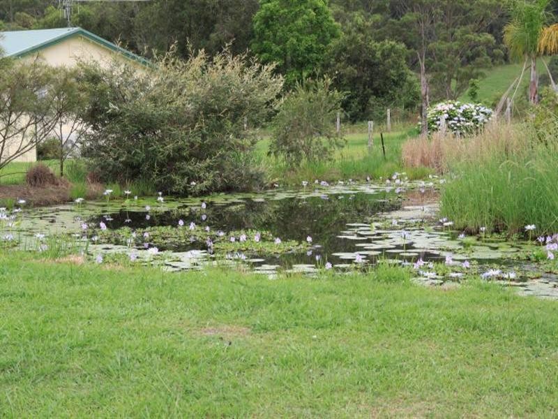 25 Logans Crossing Road, Kendall NSW 2439