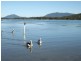 Site 94 Diamond Waters Caravan Park, Dunbogan NSW 2443