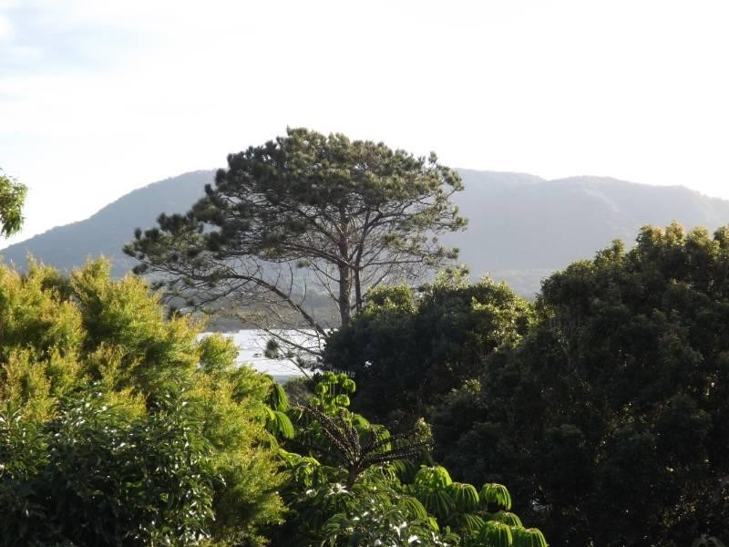 13 Idant Street, Camden Head NSW 2443