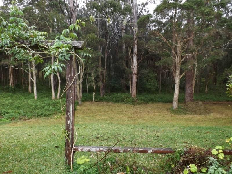 5 Honeysuckle Aveune, Lakewood NSW 2443