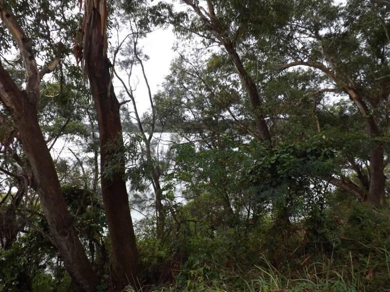 21 Camden Head Road, Dunbogan NSW 2443