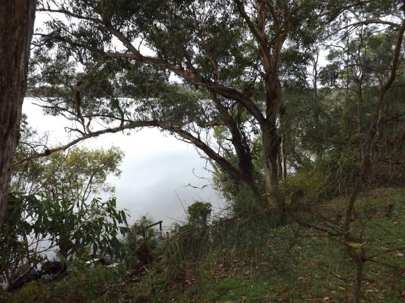 21 Camden Head Road, Dunbogan NSW 2443