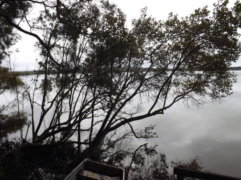 21 Camden Head Road, Dunbogan NSW 2443