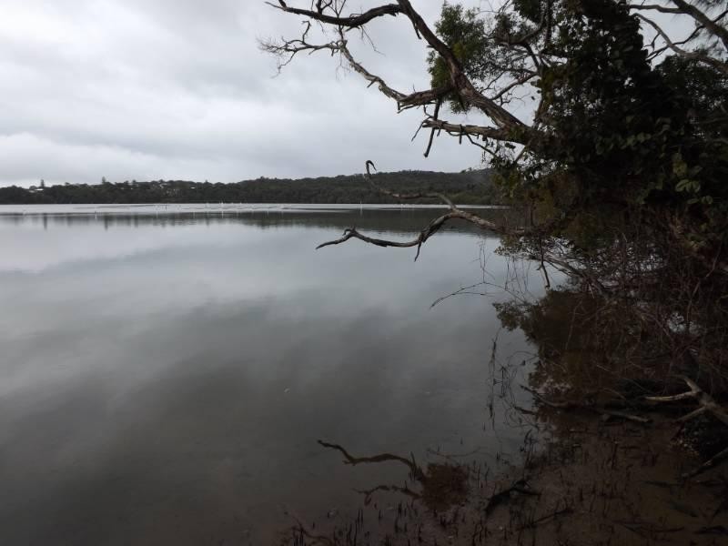 21 Camden Head Road, Dunbogan NSW 2443