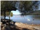 Site 90 Diamond Waters Caravan Park, Dunbogan NSW 2443