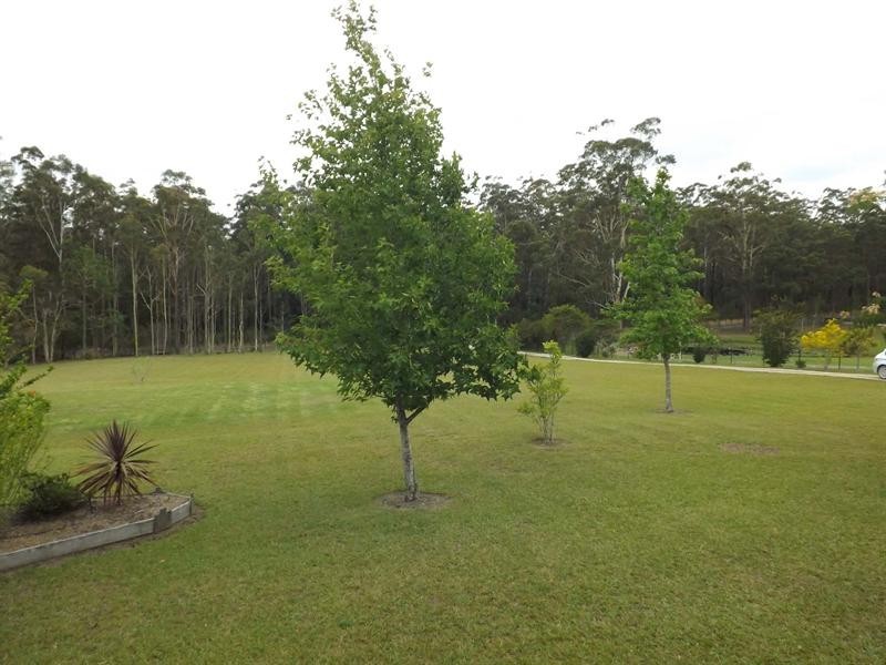 Logans Crossing NSW 2439