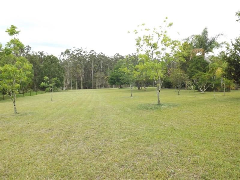 Logans Crossing NSW 2439