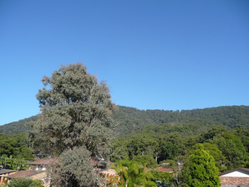 4 Blackbutt Crescent, Laurieton NSW 2443