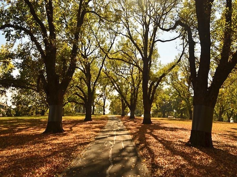 1202/28 Wills Street, Melbourne VIC 3000