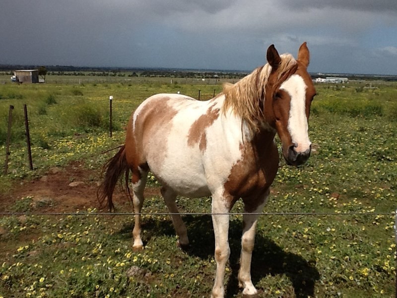 406-420 Faulkners Road, Mount Cottrell VIC 3024