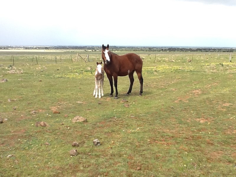 406-420 Faulkners Road, Mount Cottrell VIC 3024