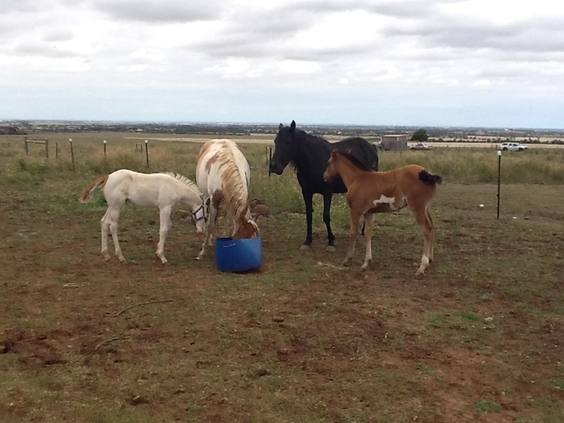 406-420 Faulkners Road, Mount Cottrell VIC 3024