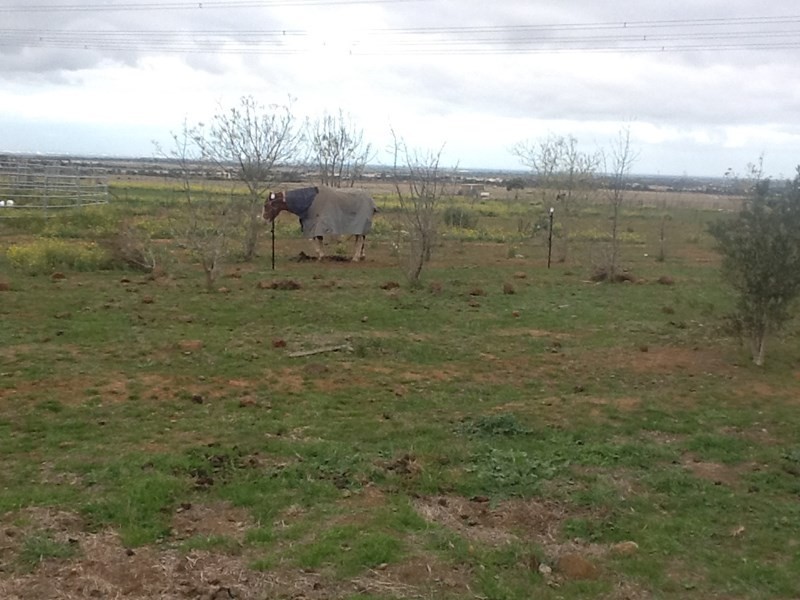 406-420 Faulkners Road, Mount Cottrell VIC 3024