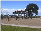 Lot 186 Paradise Parade, Point Cook VIC 3030