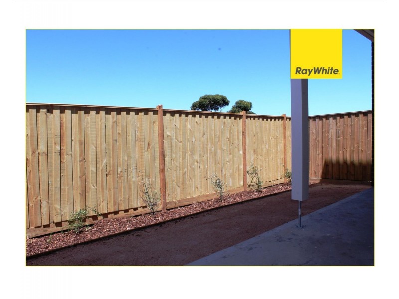 35 Dingo Street, Point Cook VIC 3030