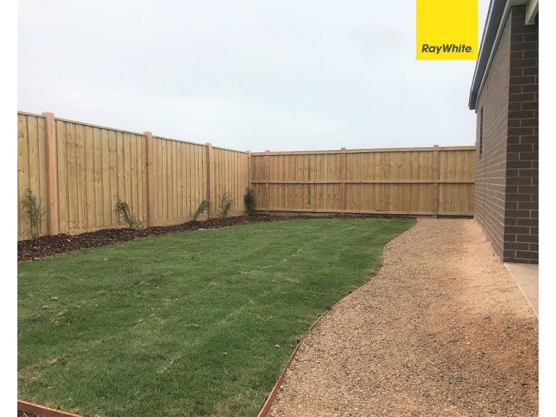 17 Seedgrass Street, Point Cook VIC 3030