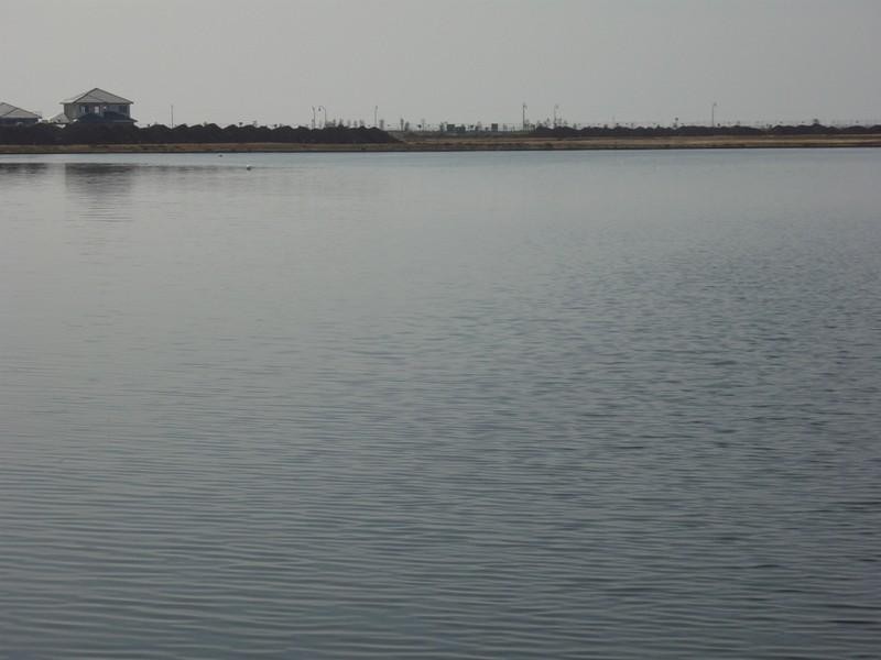 Lot 1436 Seaview Point, Werribee VIC 3030