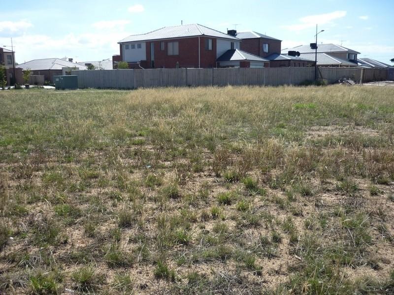 83 Swamphen Drive, Williams Landing VIC 3027