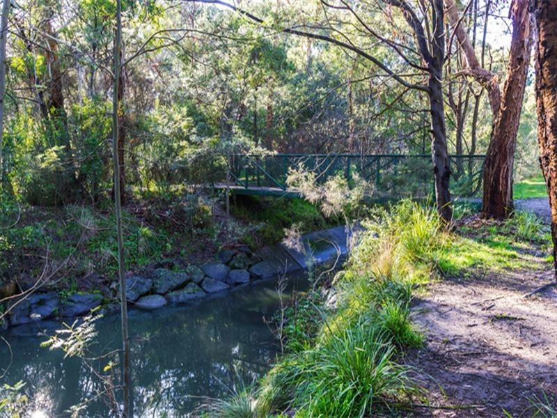 8 Haydn Street, Blackburn VIC 3130