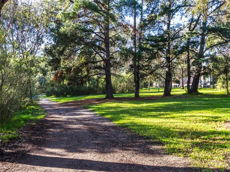 8 Haydn Street, Blackburn VIC 3130