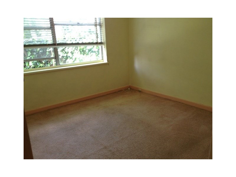 3/596-598 Middleborough Road, Blackburn North VIC 3130