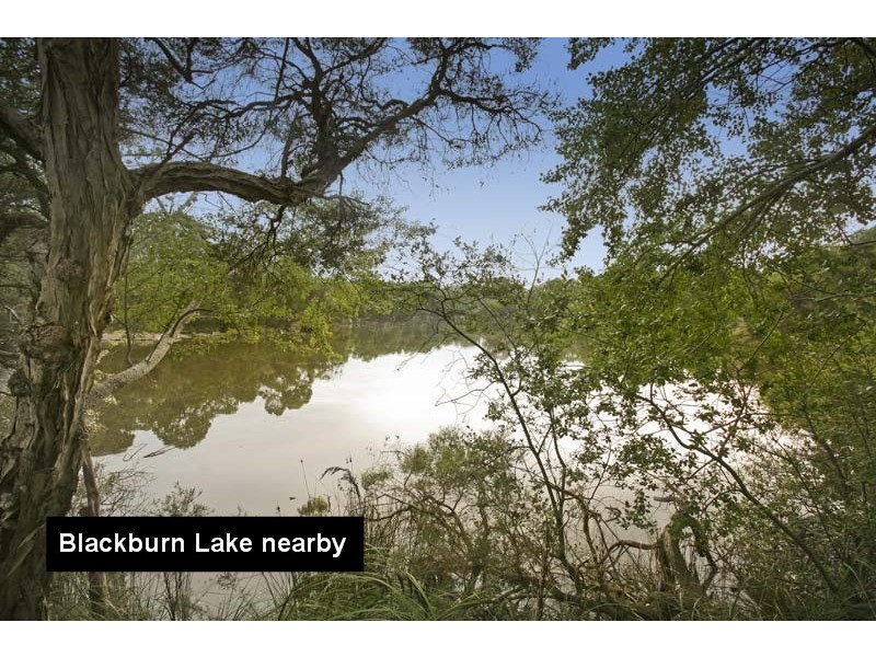 1 Halley Street, Blackburn VIC 3130