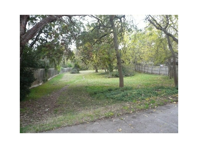 1 Halley Street, Blackburn VIC 3130