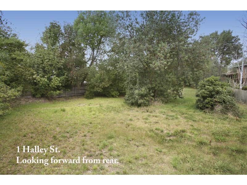 1 Halley Street, Blackburn VIC 3130