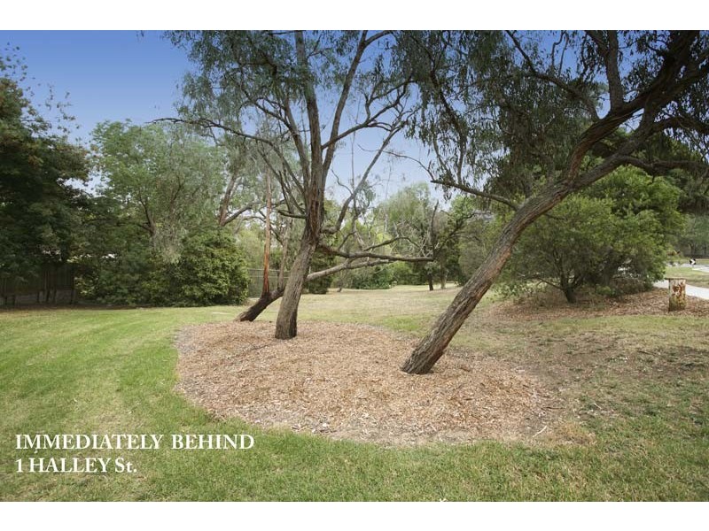 1 Halley Street, Blackburn VIC 3130