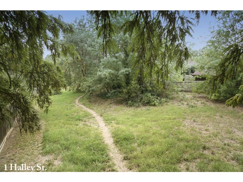 1 Halley Street, Blackburn VIC 3130