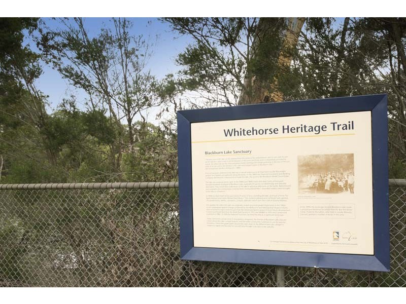 1 Halley Street, Blackburn VIC 3130