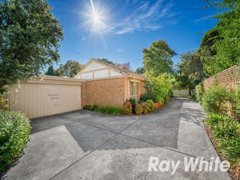 1/16 Maple Street, Blackburn VIC 3130